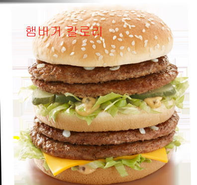 햄버거 칼로리1