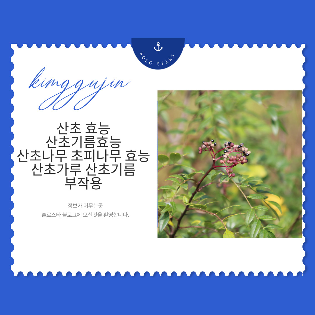 산초나무 사진