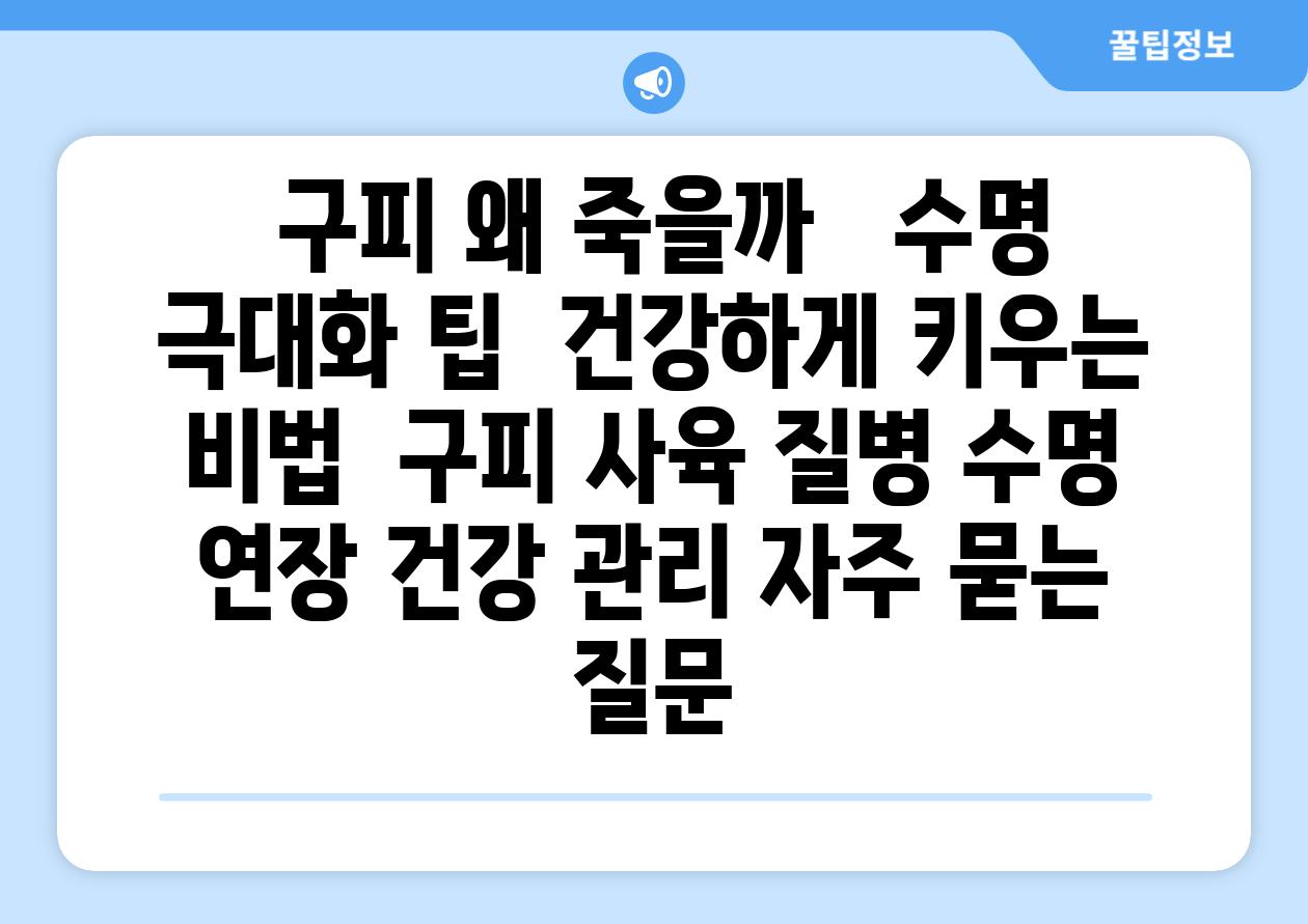 ## 구피, 왜 죽을까? 😭  수명 극대화 팁 & 건강하게 키우는 비법 | 구피 사육, 질병, 수명 연장, 건강 관리