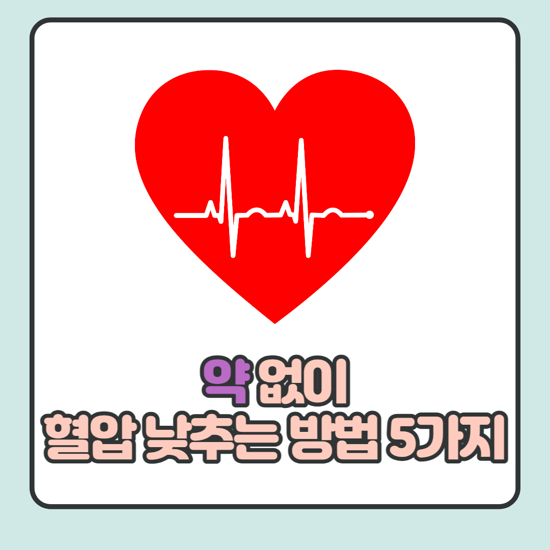 약없이 혈압을 낮추는 방법 5가지 총 정리