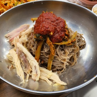 막국수 닭무침 닭곰탕