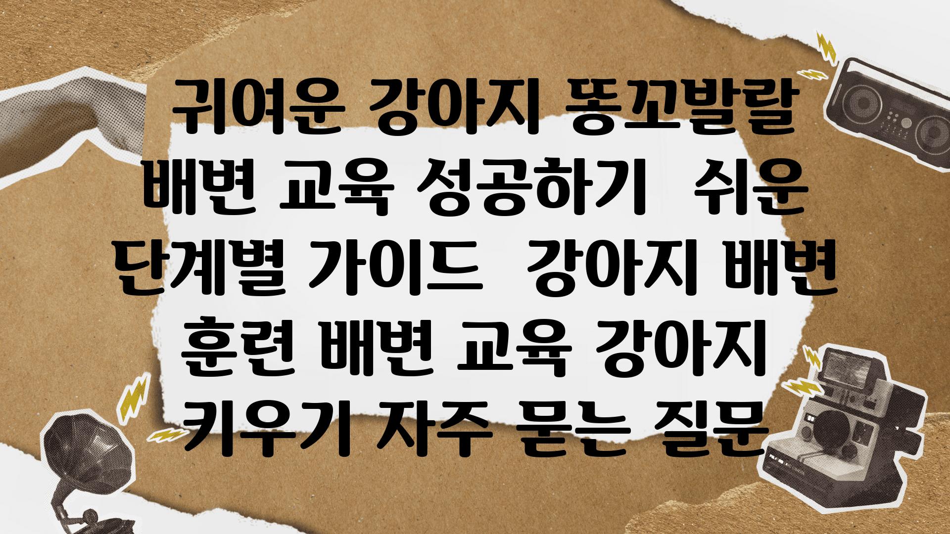  귀여운 강아지 똥꼬발랄 배변 교육 성공하기  쉬운 단계별 설명서  강아지 배변 훈련 배변 교육 강아지 키우기 자주 묻는 질문