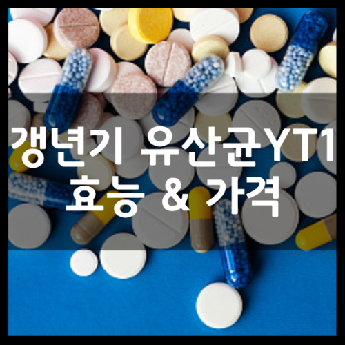 갱년기-유산균-YT1-분말-썸네일