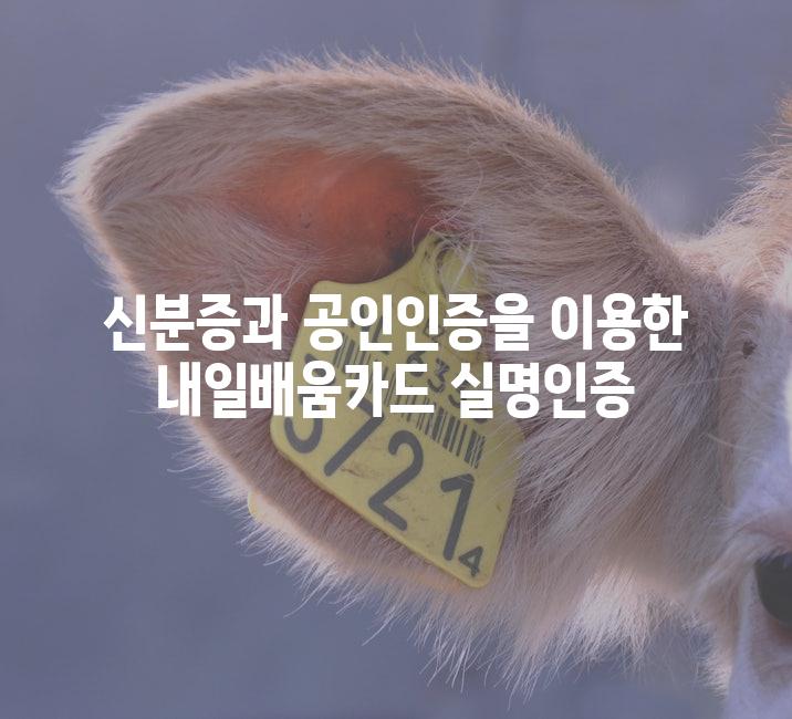 신분증과 공인인증을 이용한 내일배움카드 실명인증