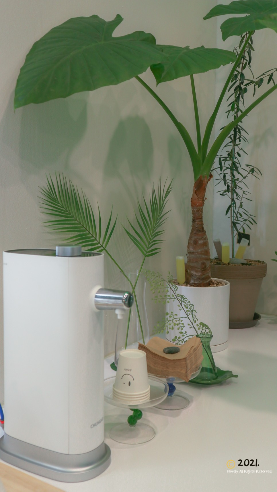 갈매기 도둑 샐러드&과일 고산점 안산 다이어트 16