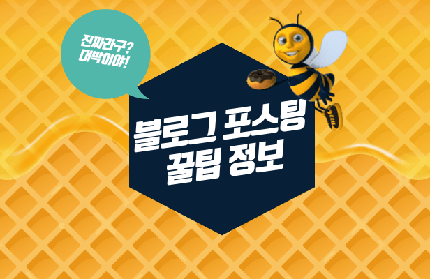  [티스토리]실제 초보 블로거가 알려주는 초보를 위한 포스팅 꿀팁