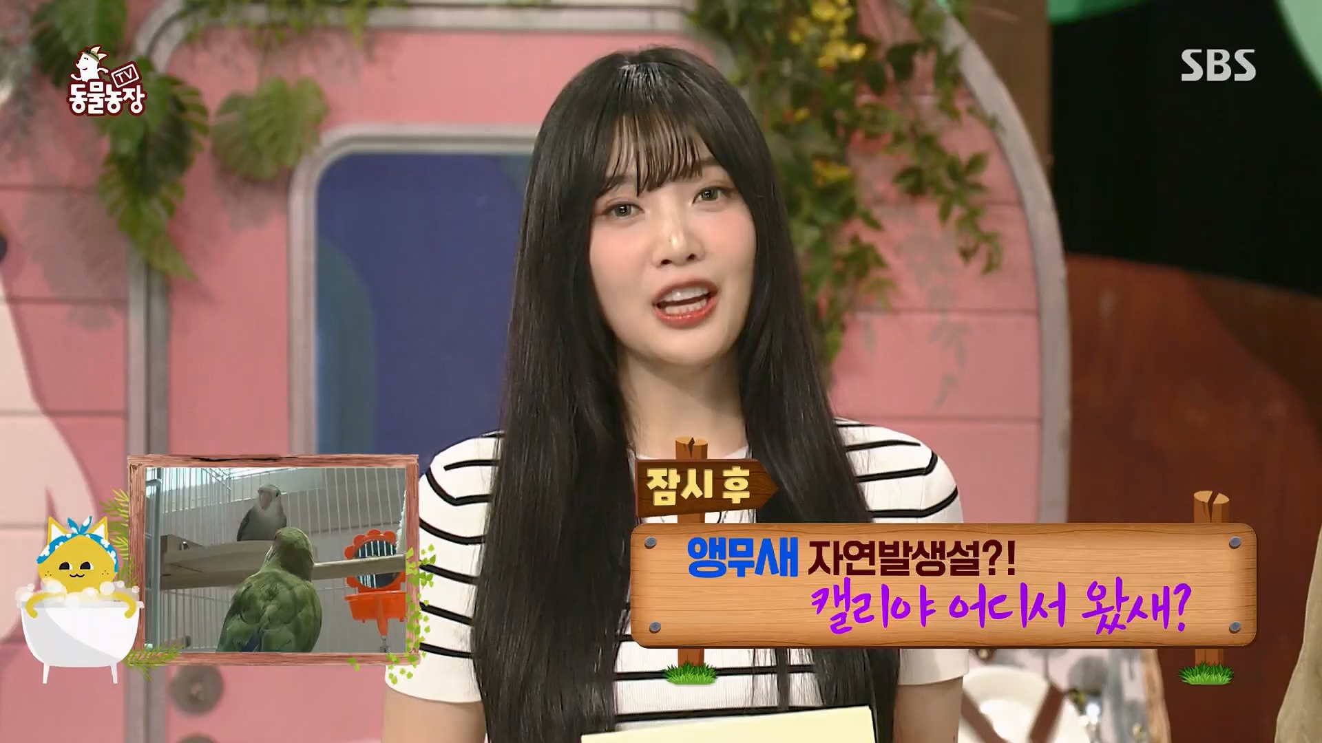 TV 동물농장.E1180.240714p.H264-F1RST.mp4_20240715_201723.785.jpg