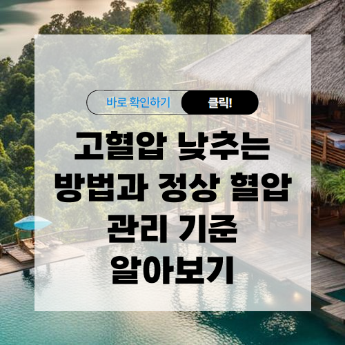 고혈압 낮추는 방법과 정상 혈압 관리 기준 알아보기