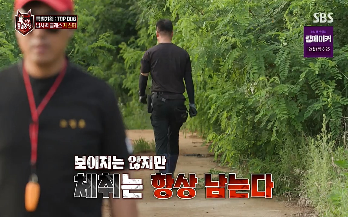 TV 동물농장.E1085.220905p-NEXT.mp4_20220904_173554.618.jpg