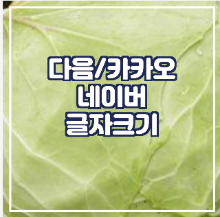  핸드폰 글자크기 조절- 네이버/다음/ 카카오톡