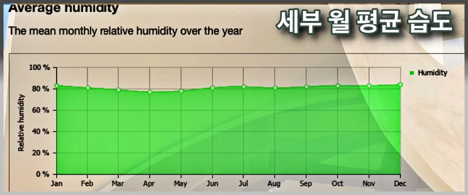 세부습도