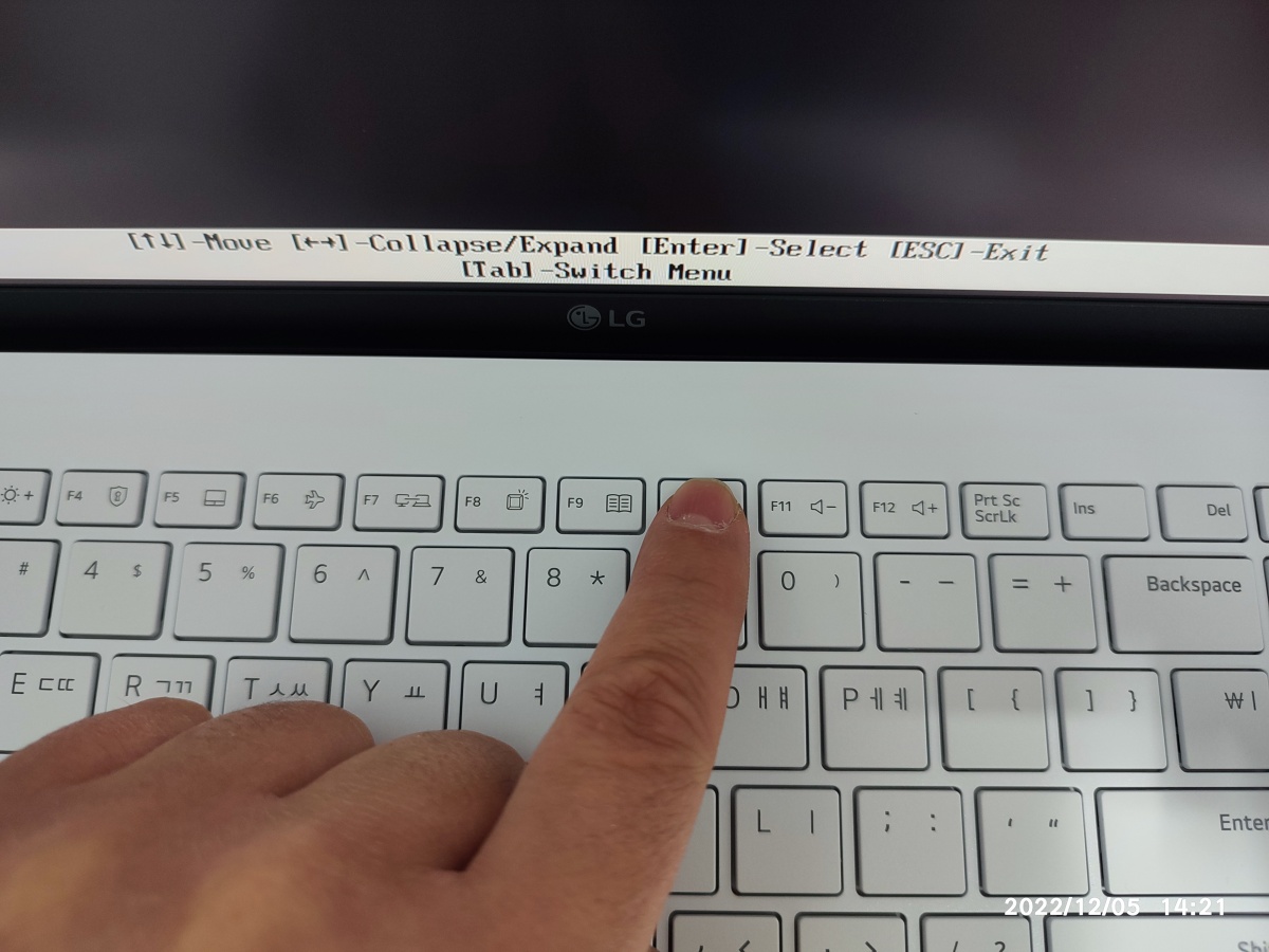 LG 노트북은 F10 (일부 구형 F12)이 부트 메뉴를 띄우는 단축키입니다. 
