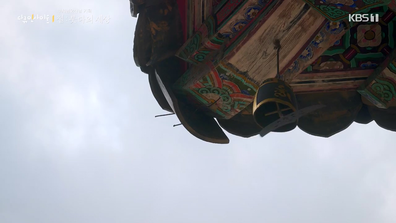 다큐 인사이트.E185.240517p-NEXT.mp4_20240517_202636.680.jpg