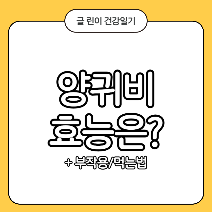 양귀비 효능