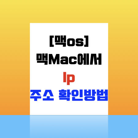  맥에서 ip 주소 확인 방법
