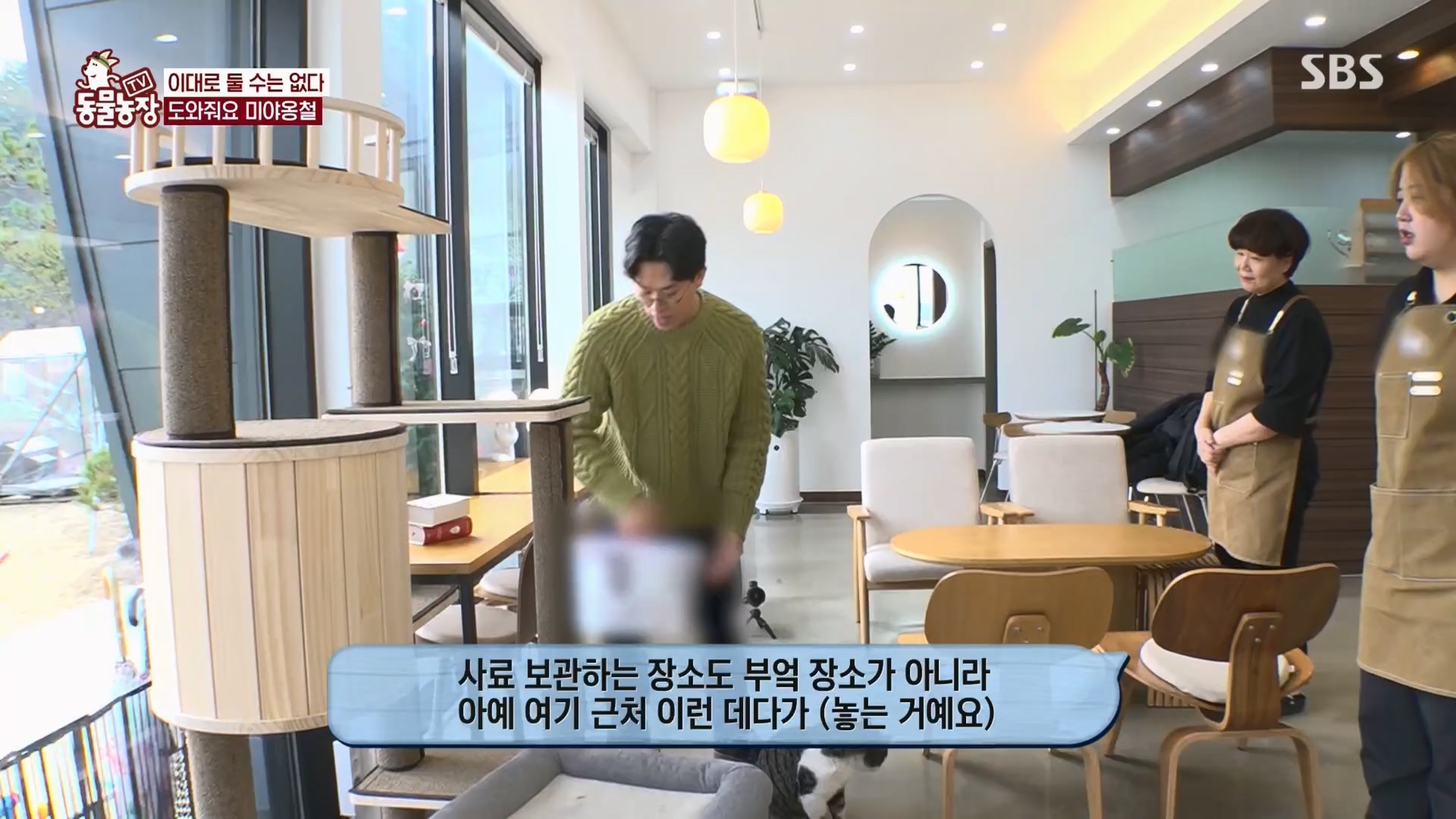 TV 동물농장.E1159.240218p.H264-F1RST.mp4_20240218_170008.834.jpg