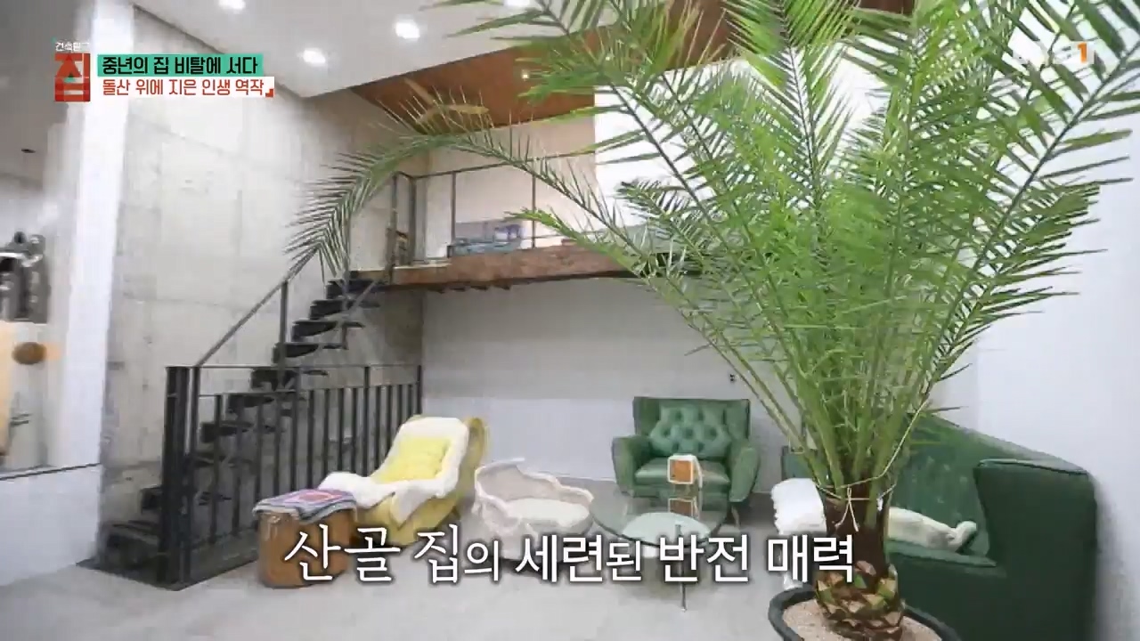 TV - 전 국민의 평생학교 EBS중년의 집 비탈에 서다.mp4_20240126_204803.538.jpg
