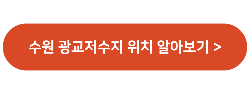 금계국 꽃 명소 생태교란종 파종시기 큰금계국 구별