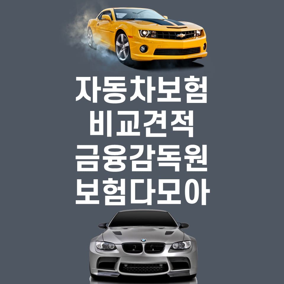  자동차보험 비교 견적 사이트(금융감독원 보험다모아)