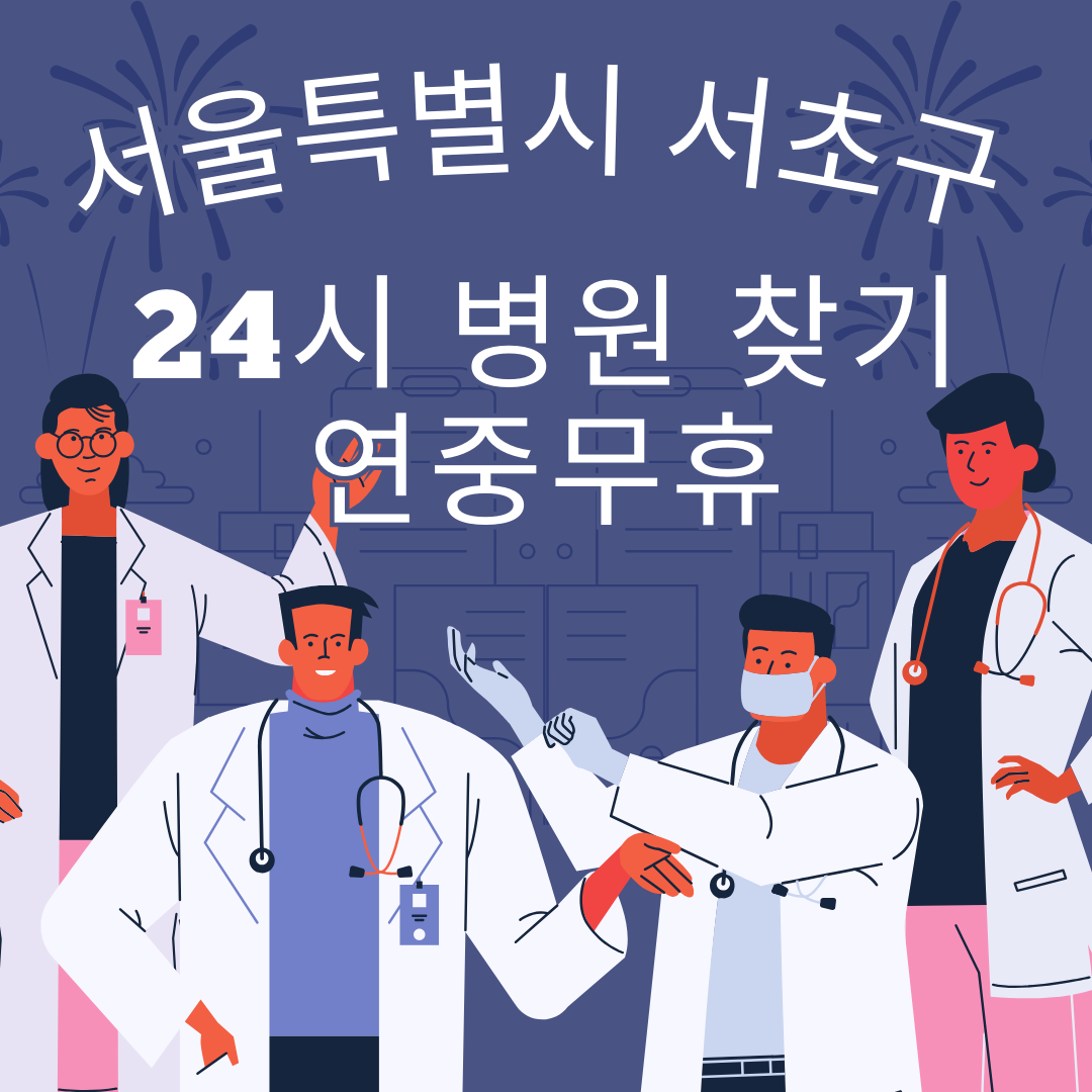 서울특별시 서초구 24시 야간 및 일요일 주말 진료 병원