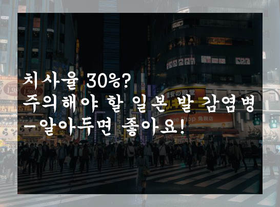  치사율 30%? 주의해야 할 일본 발 감염병-알아두면 좋아요!