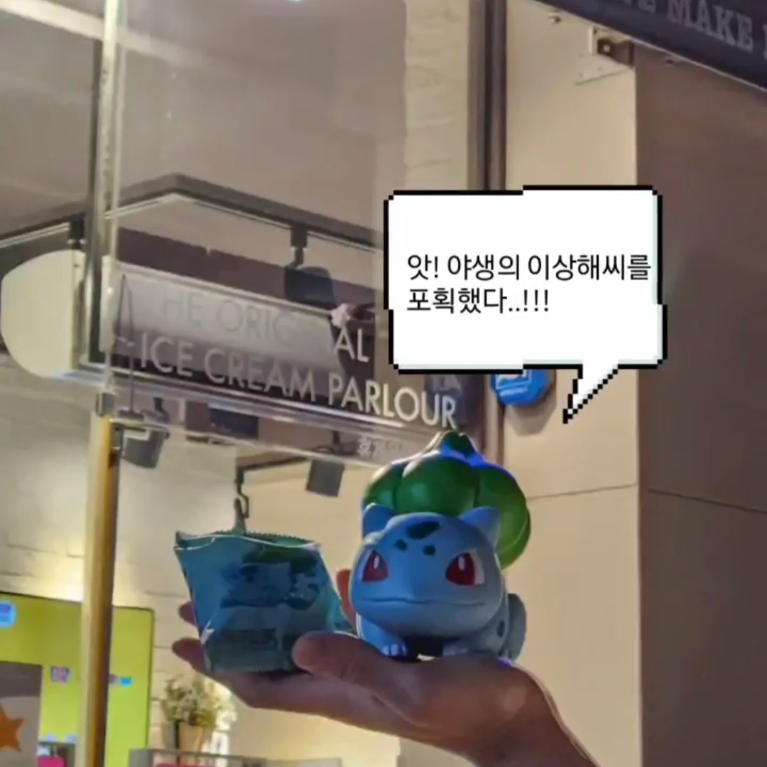  이상해씨 피규어 : 베라에서 구입한 가격 및 후기