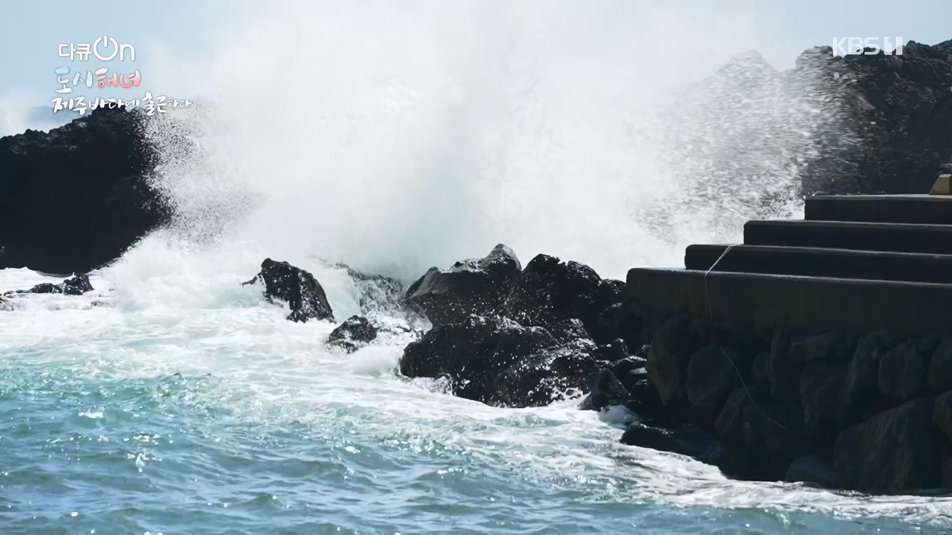 다큐 On.E197.230505p.H264-F1RST.mp4_20230507_133453.109.jpg