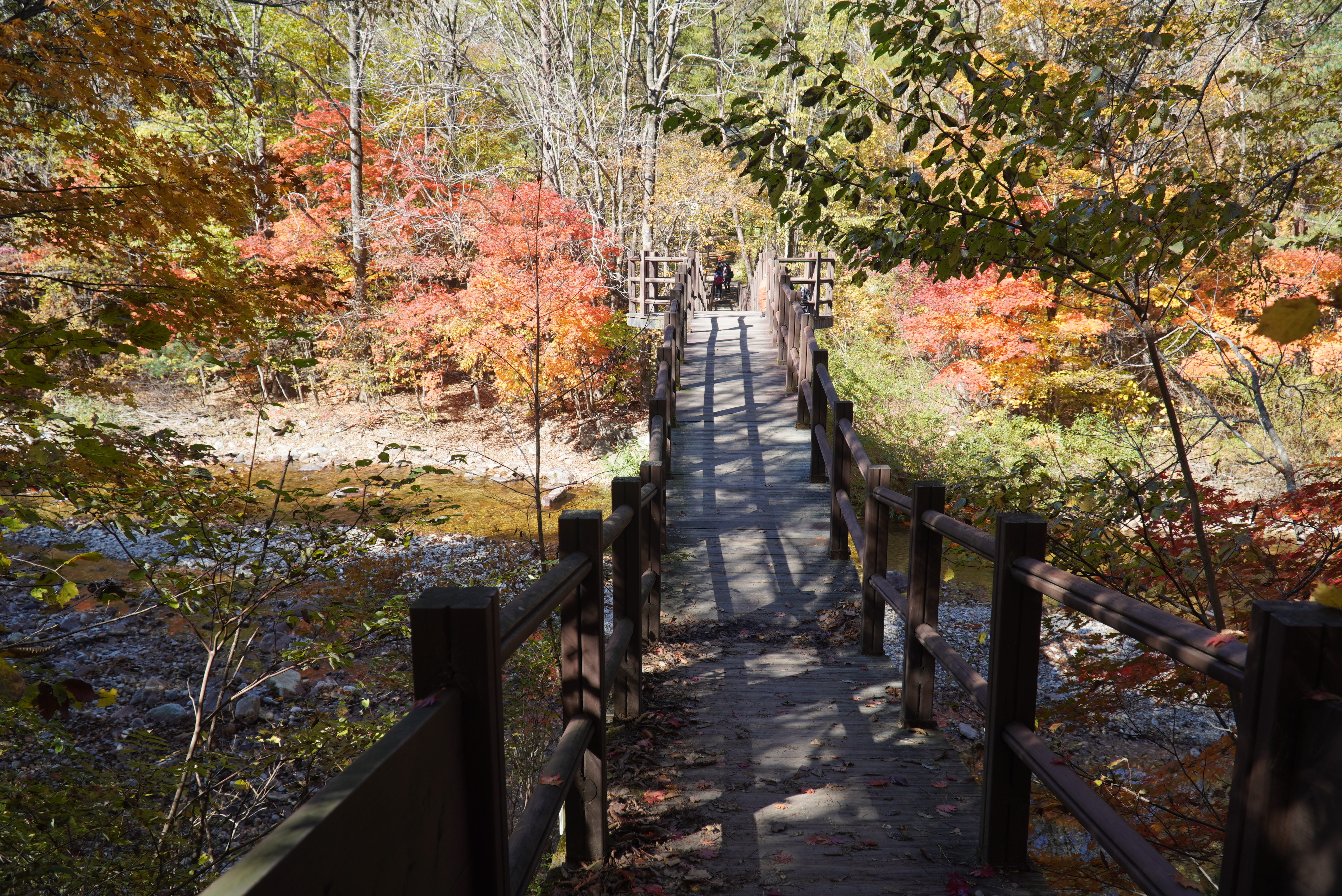 오대산 선재길 단풍, 등산코스, 월정사 상원사 버스, 주차