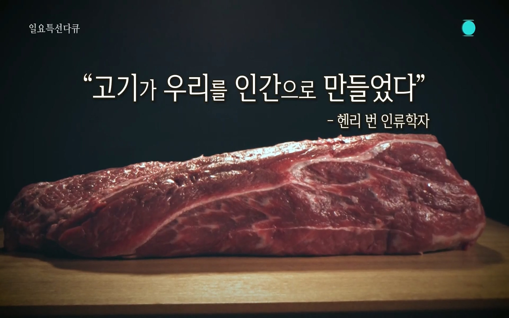 일요 특선 다큐멘터리.E283.220717p.H264-F1RST.mp4_20220718_200213.272.jpg