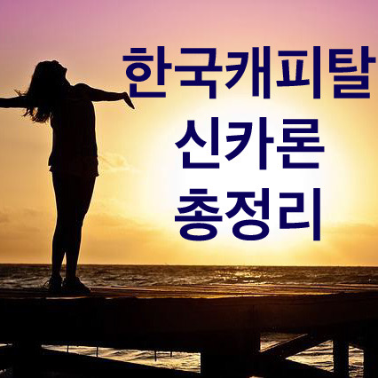  한국캐피탈 신카론 신용카드만 있으면 신청 가능한 대출?