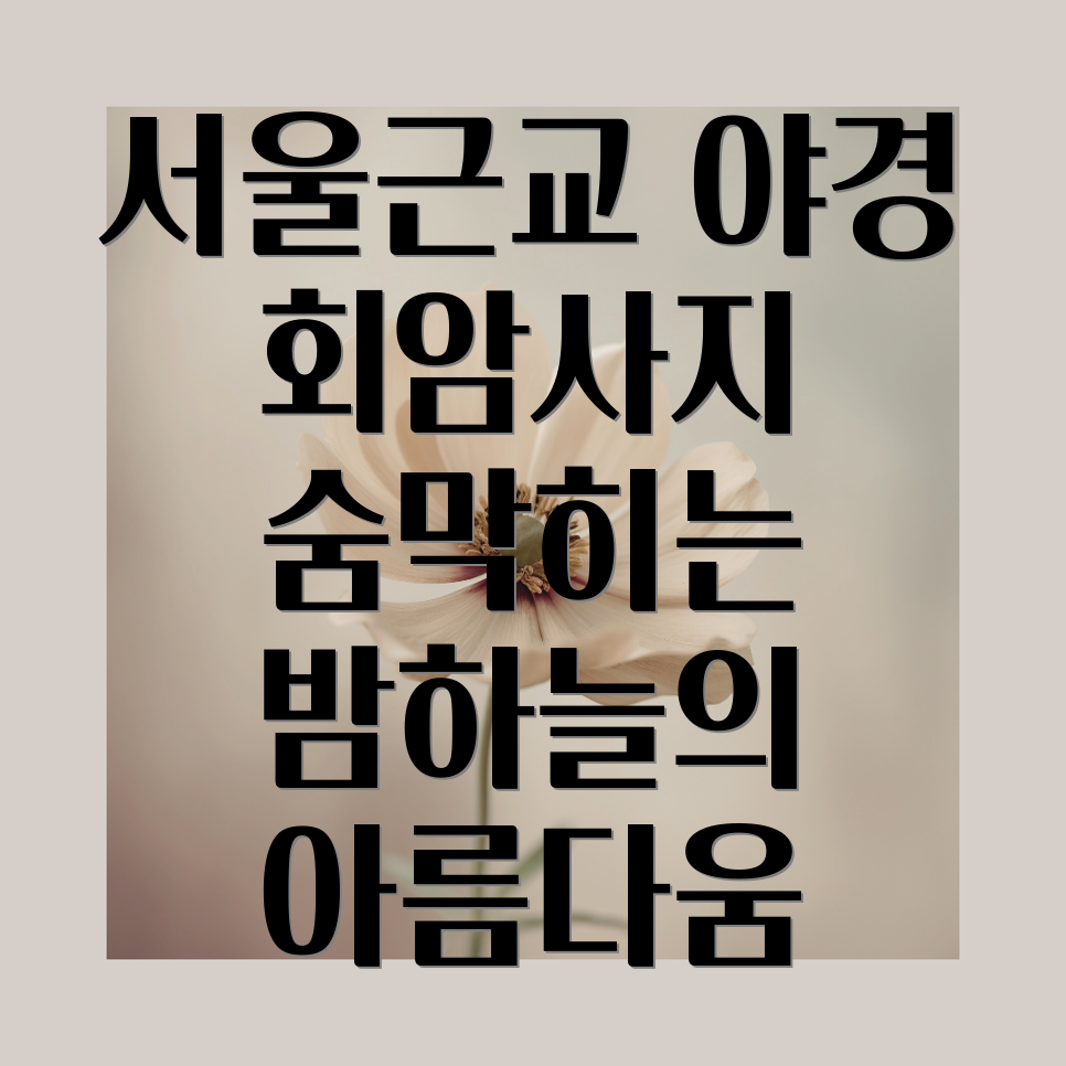 양주 회암사지 야경