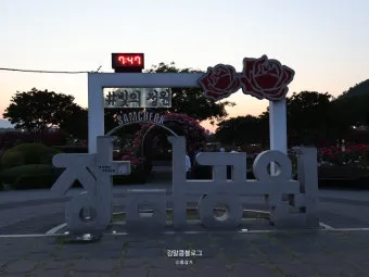 2025 삼척 장미공원 장미축제 일정 주차 볼거리_14
