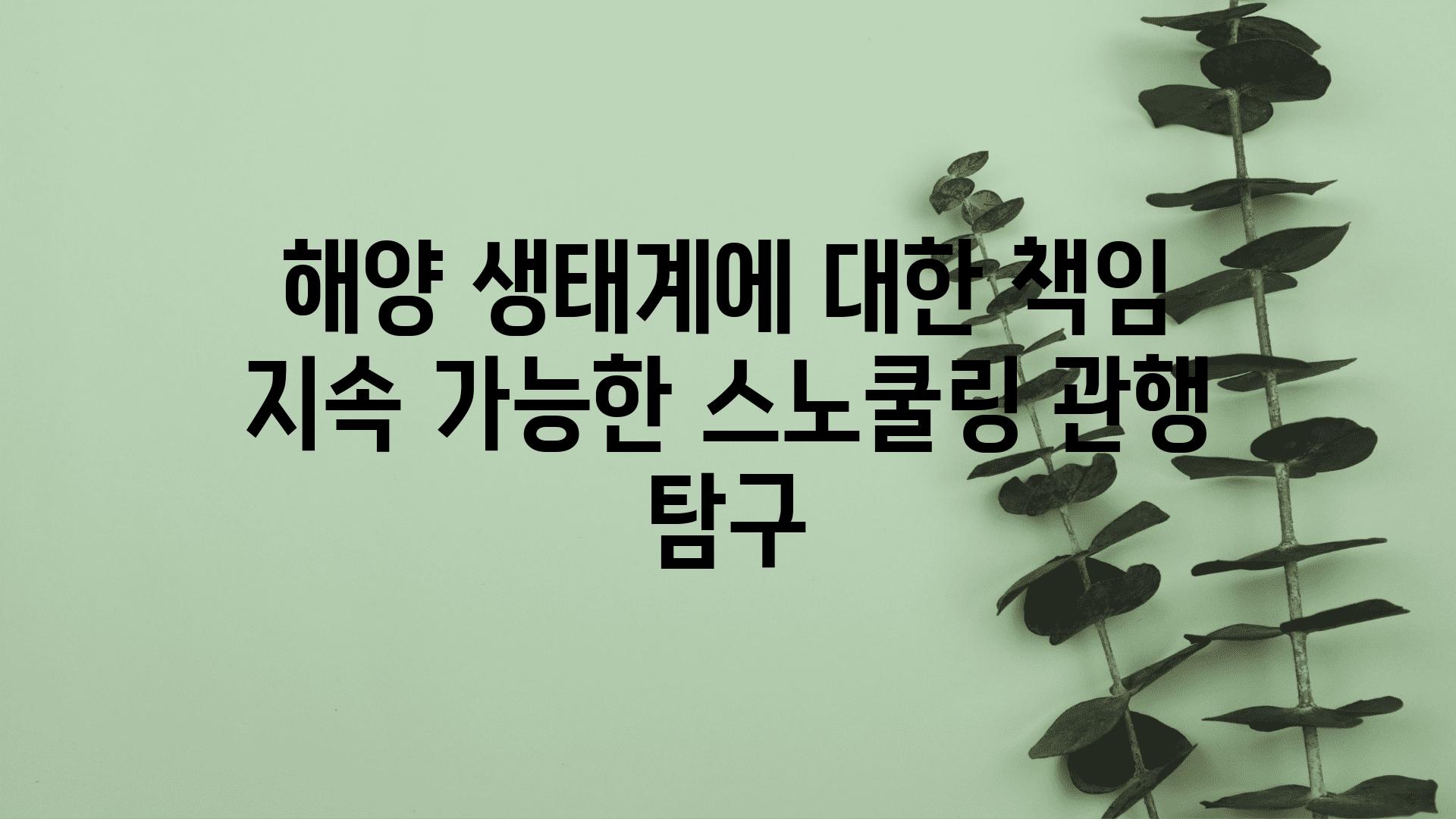 해양 생태계에 대한 책임  지속 가능한 스노쿨링 관행 비교