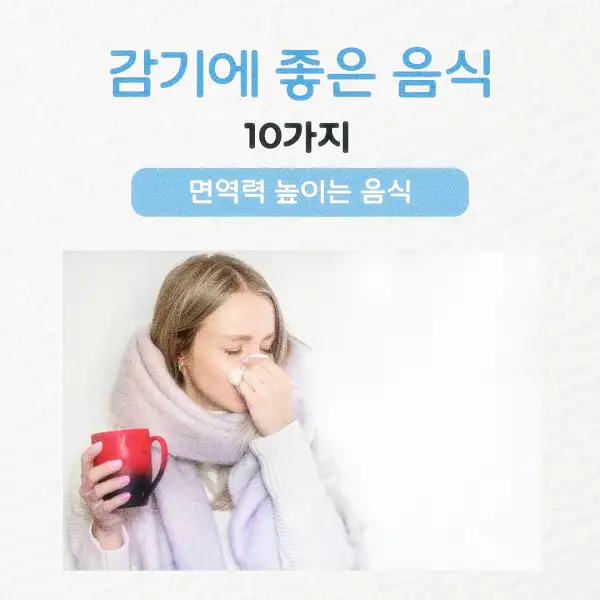 감기에 좋은 음식