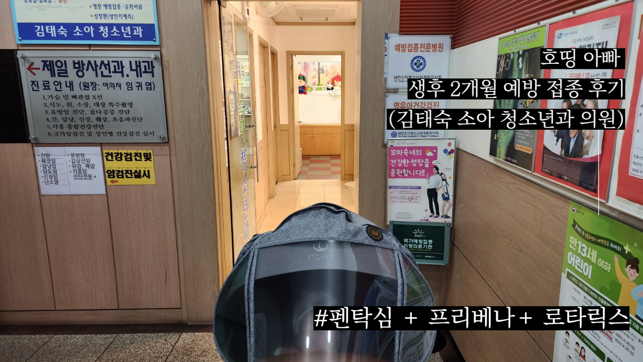  생후 2개월 예방접종 후기 (펜탁심+프리베라+로타릭스,한눈에 보는 예방접종 일정표)