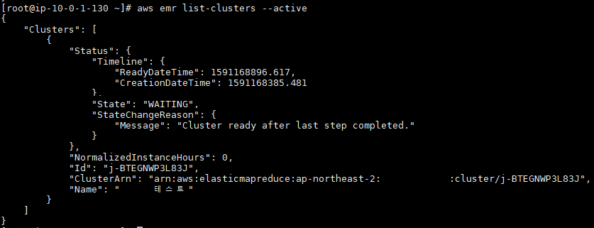 aws emr list-clusters --active