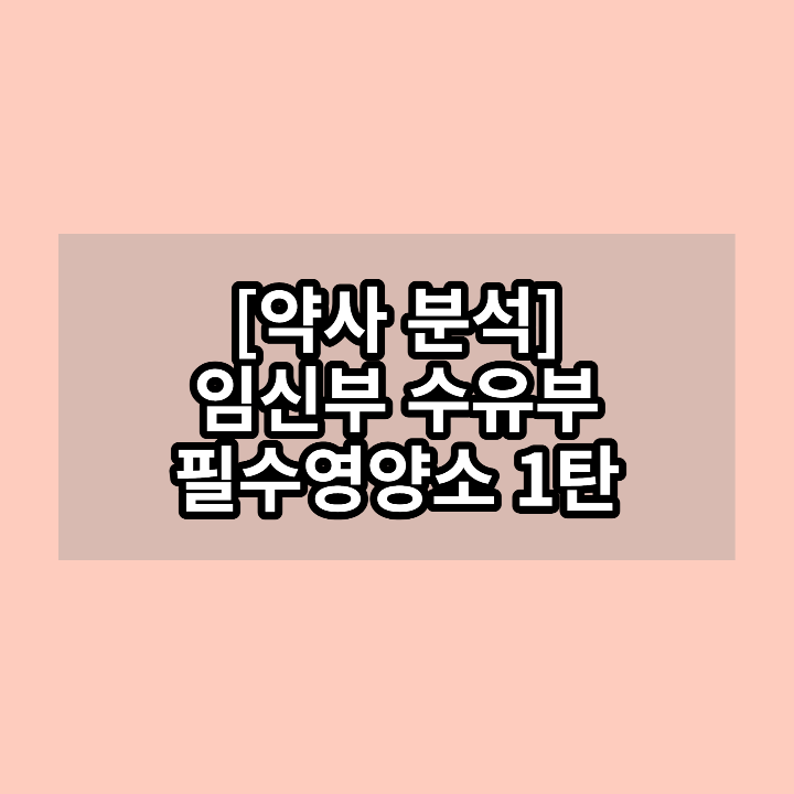 임신부-필수영양소