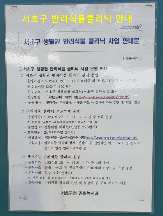 서초구반려식물클리닉 세부 안내