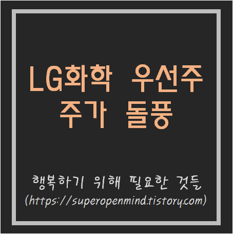  엘지화학우 주가 돌풍 그 이유는?