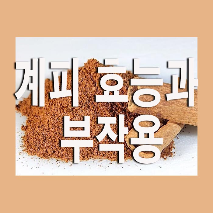  계피 효능과 부작용