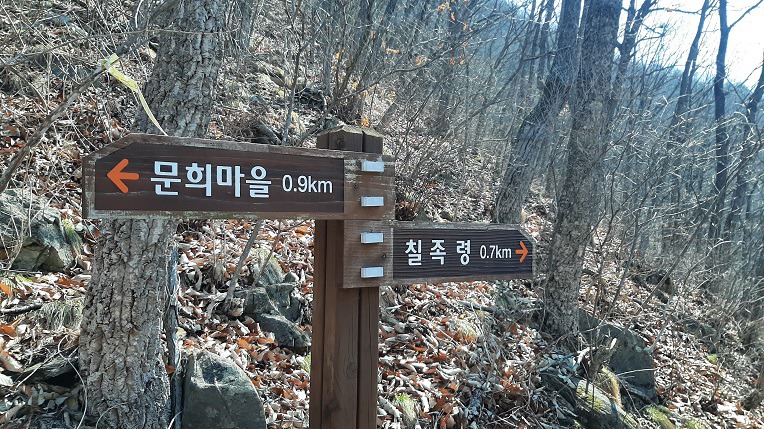 문희꽃밭 이미지