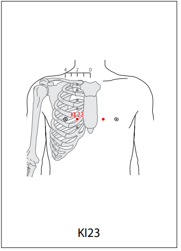 족소음신경(KI) > KI23 신봉 (神封) 1