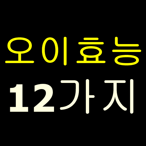  오이 효능 12가지