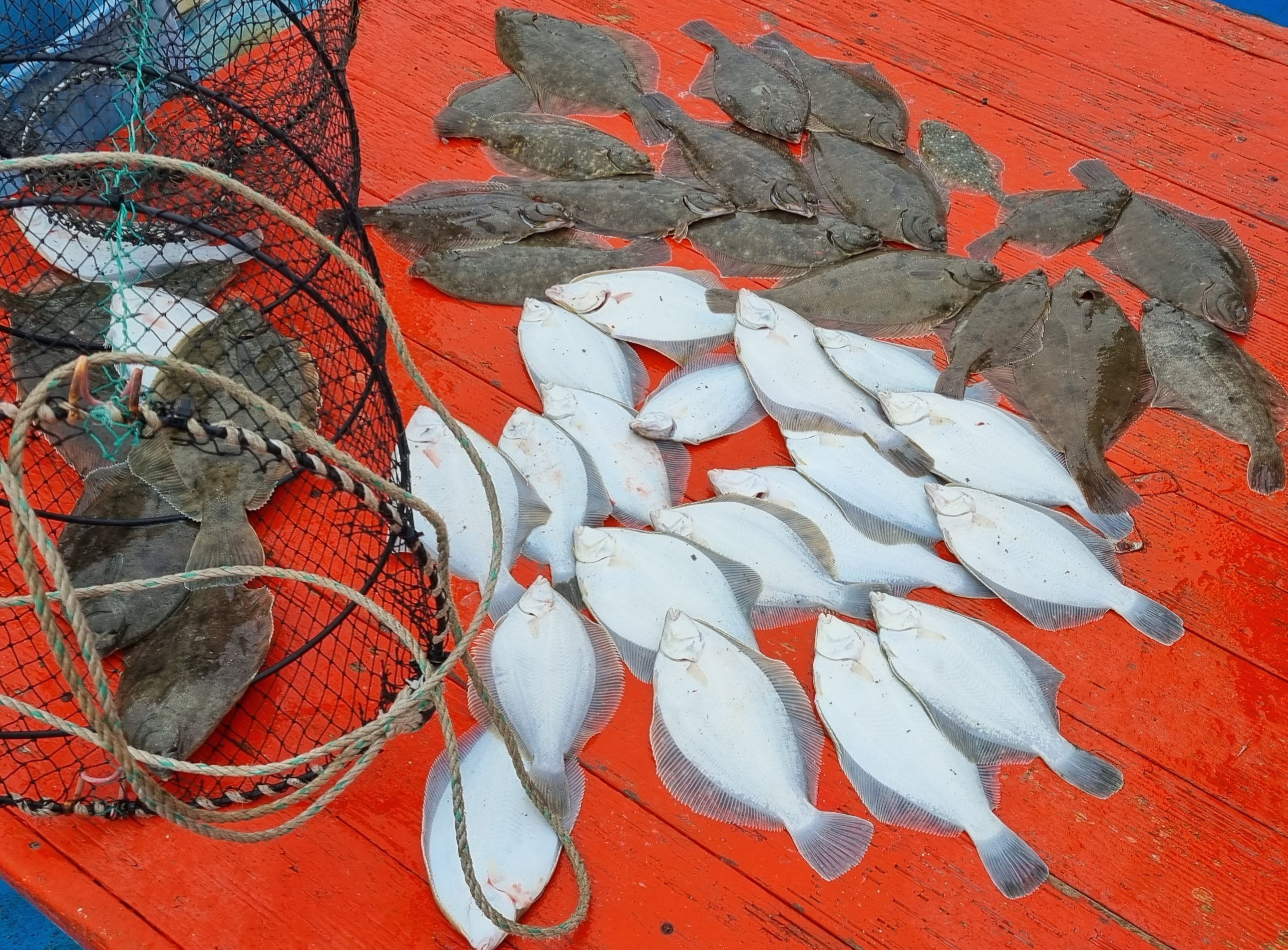 2023년 3월 25일 목포도대교 1