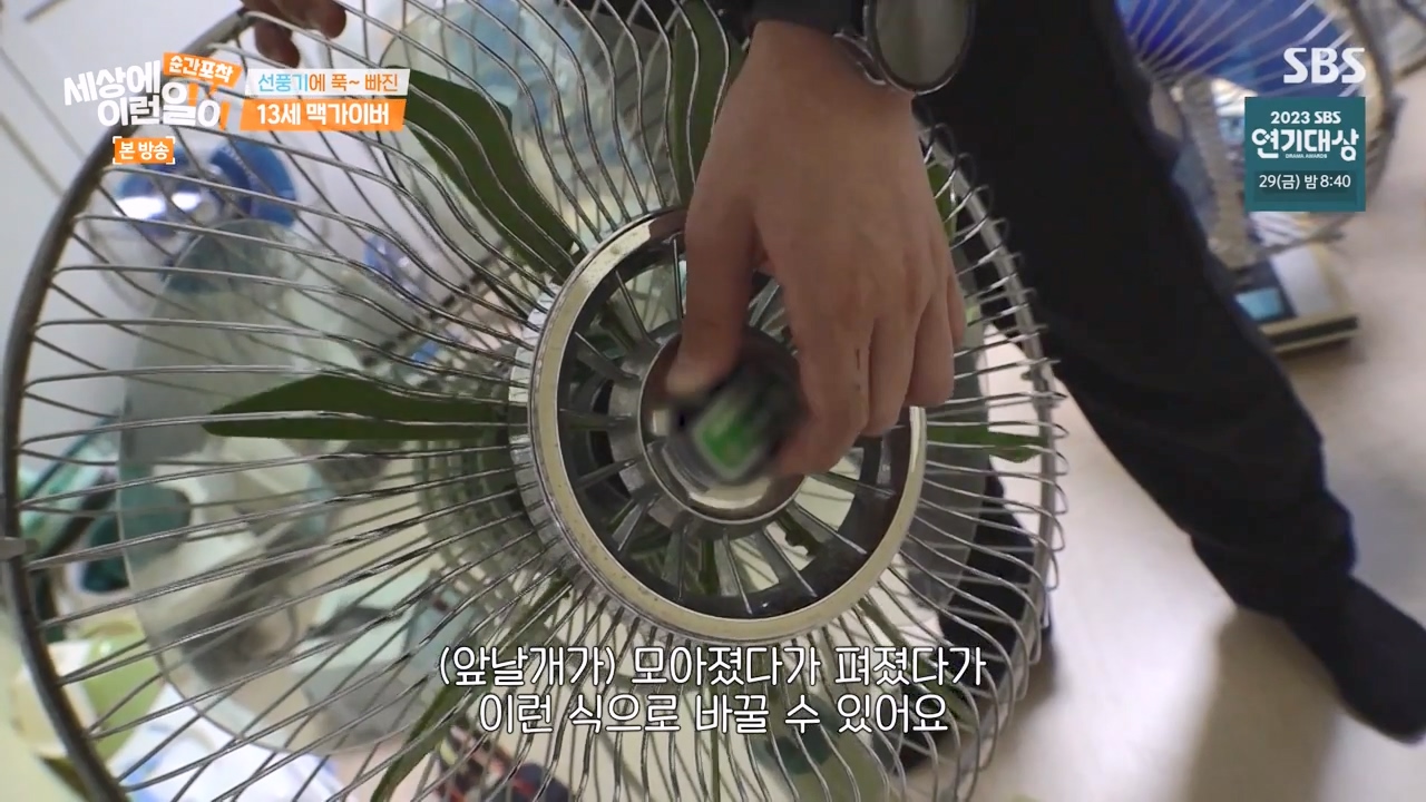 순간포착 세상에 이런일이.E1256.231217p-NEXT.mp4_20231217_172304.477.jpg