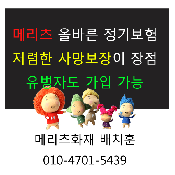  메리츠 정기보험 가입요령
