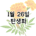 이 이미지를 클릭 하시면 1월 26일 탄생화에 관한 포스팅으로 이동됩니다.