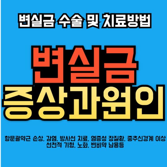 변실금-증상과-원인-변실금-수술-및-치료방법