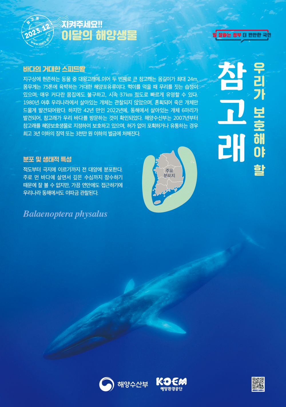 2023년 12월 이달의 해양생물 포스터