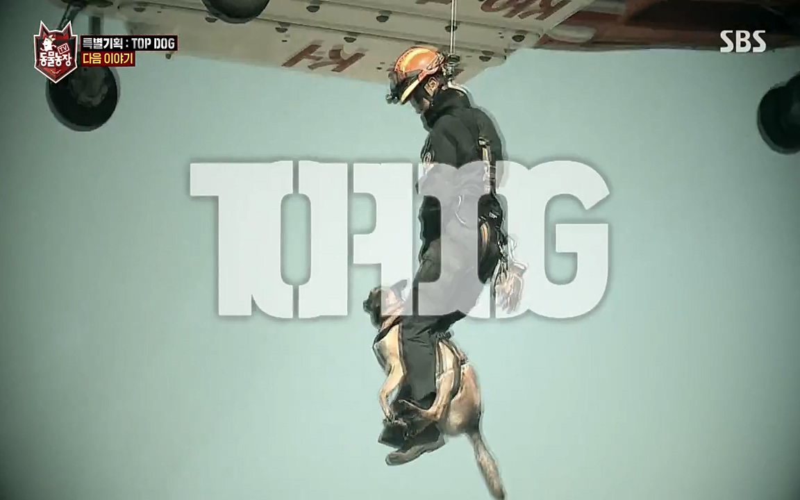 TV 동물농장.E1085.220905p-NEXT.mp4_20220904_173403.754.jpg